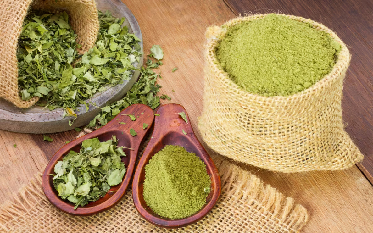Les bienfaits des infusions de feuilles de moringa : une plante aux multiples vertus